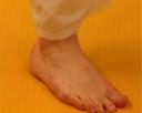 pied-1.jpg