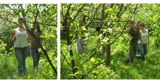 jardin.jpg