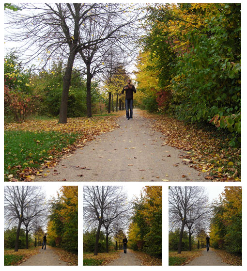 hassan-automne.jpg hassan-automne.jpg