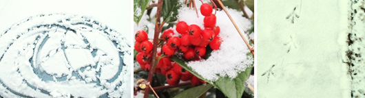 19-neige.jpg 19-neige.jpg