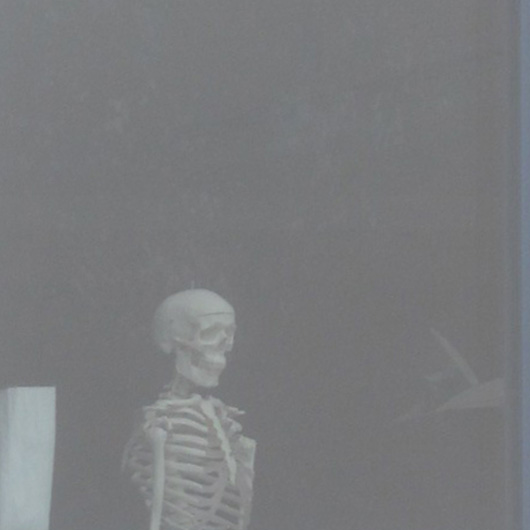 13-oscar-winter-blues.jpg 13-oscar-winter-blues.jpg