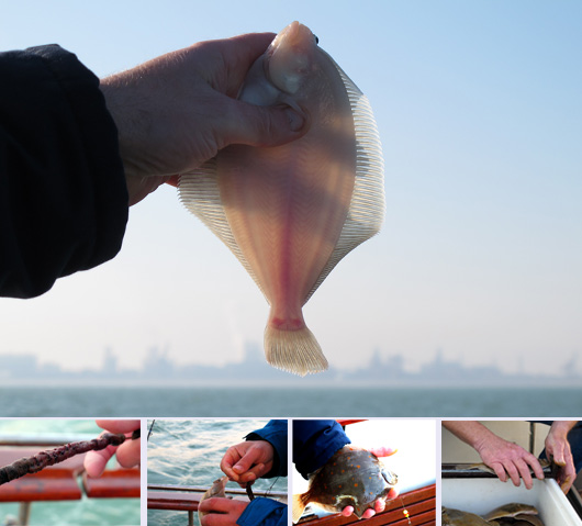 21-tous-les-petits-gestes.jpg 21-tous-les-petits-gestes.jpg